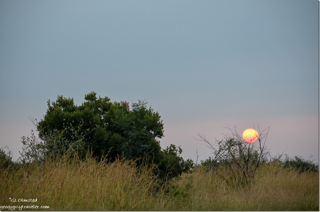 Sunrise Pilanesburg Game Reserve South Africa