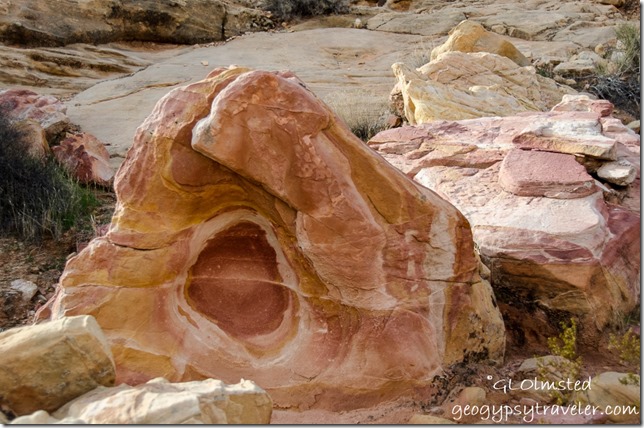 Bullseye sandstone White Domes trail Valley of Fire State Park Nevada