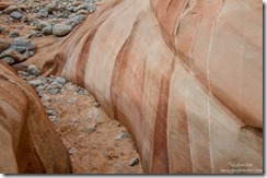 Bedding planes White Domes trail Valley of Fire State Park Nevada