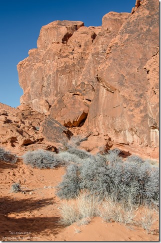Side canyon with petroglyphs by Atlatl Rock Valley of Fire State Park Nevada