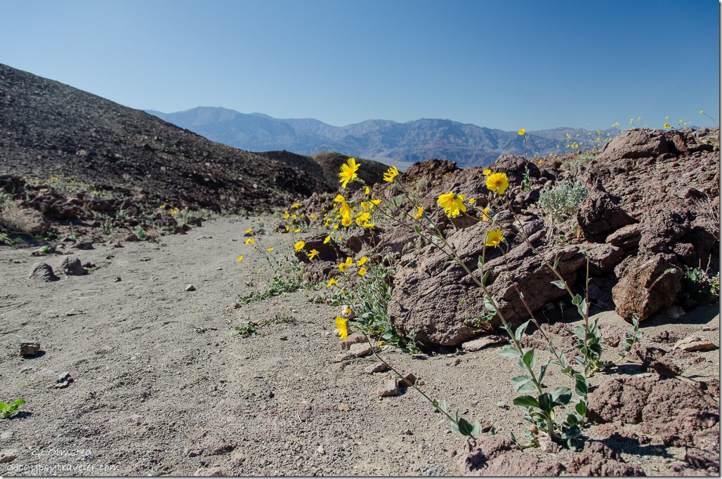 Desert Gold & Panament Range Artists Drive Death Valley National Park California