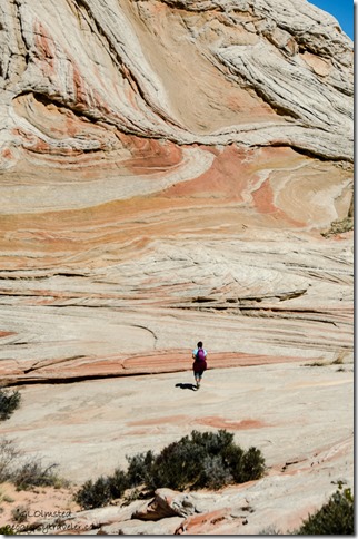 Pam White Pocket Vermilion Cliffs National Monument Arizona