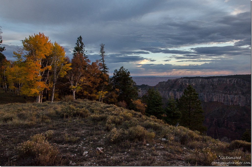 Fall colors & Sunset over Transept Canyon North Rim Grand Canyon National Park Arizona