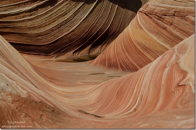 The Wave Paria Canyon-Vermilion Cliffs Wilderness Arizona