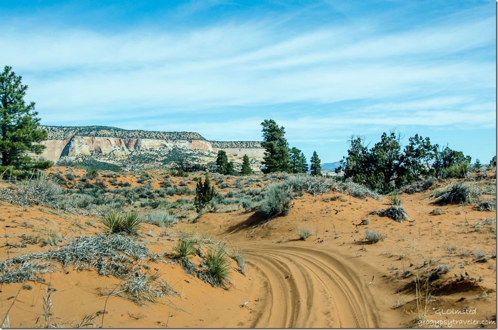 Sand dune ATV trail to Peekaboo Canyon Utah