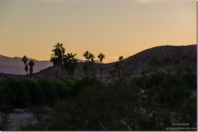 Sunset Callville campground Lake Mead National Recreation Area Nevada