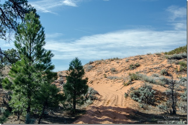 Sand dune ATV trail to Peekaboo Canyon Utah
