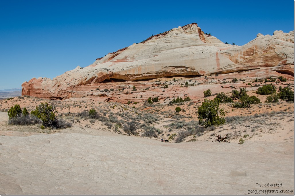Alcove White Pocket Vermilion Cliffs National Monument Arizona