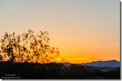 Sunset Kelso Dunes Mojave National Preserve California