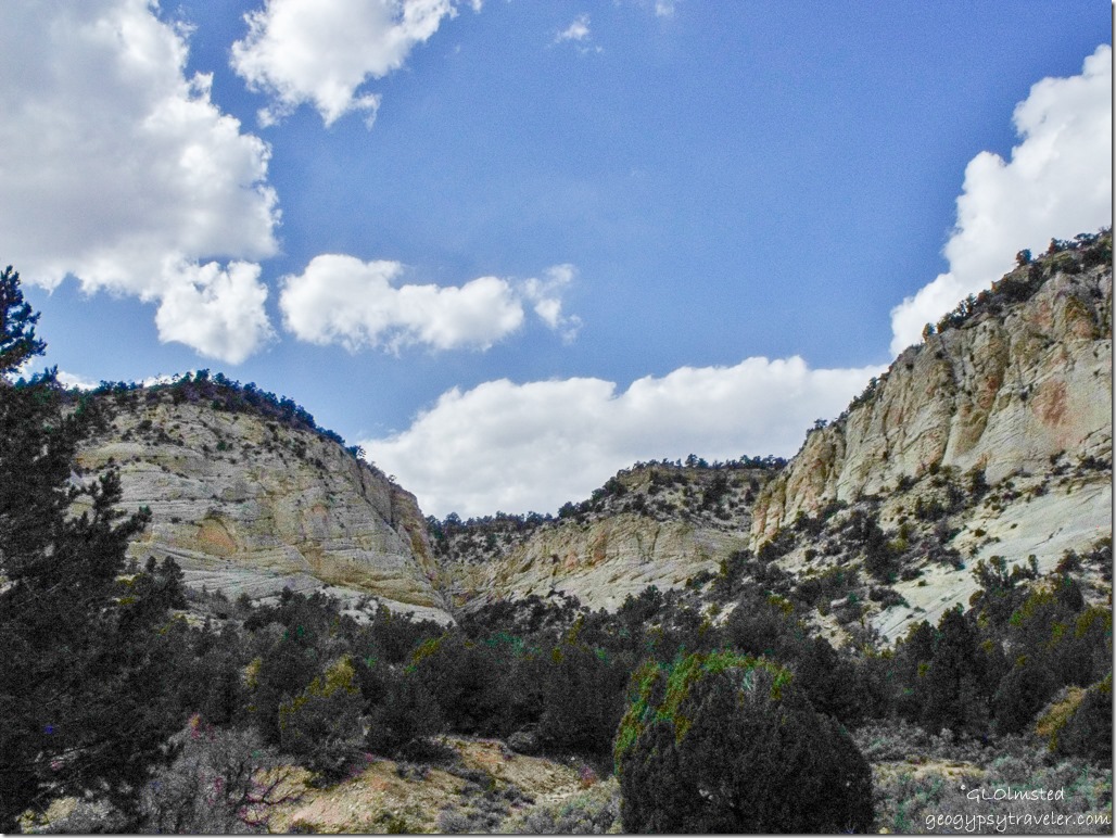 Sandstone bluffs along Johnson Canyon Road Grand Staircase-Escalante National Monument Utah