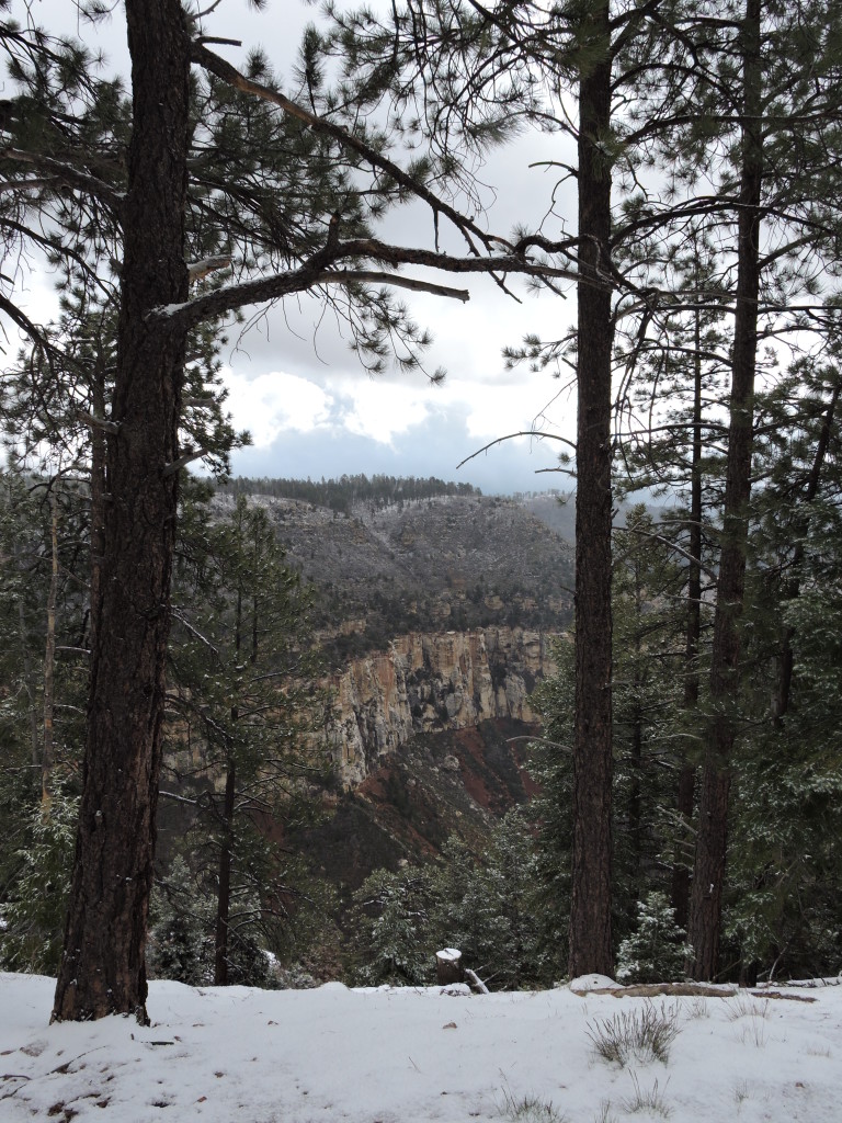 10 DSCN6160 Bright Angel Canyon snow NR GRCA NP AZ fff160