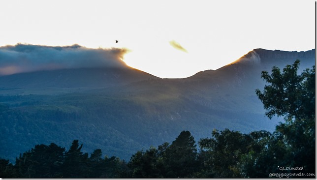 Sunrise view of Hogsbacks from Never Daunted Self-catering Cottage Hogsback South Africa