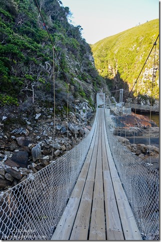 The bridge Suspension Bridge trail at Storms River Mouth Tsitsikamma National Park South Africa