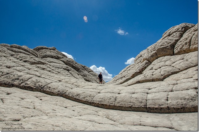 Bill White Pocket Vermilion Cliffs National Monument Arizona