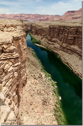 Colorado River from Navajo Bridge Marble Canyon Arizona