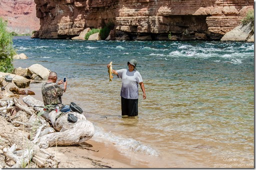 Fly Fishing Lees Ferry: The Complete Guide to Fishing and Boating the  Colorado River Below Glen Canyon Dam