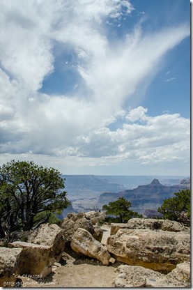 View West Cape Royal North Rim Grand Canyon National Park Arizona