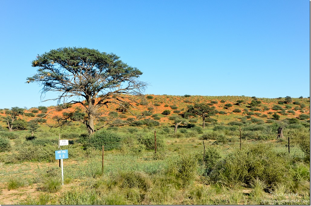 R360 North to Kgalagadi Transfrontier Park South Africa