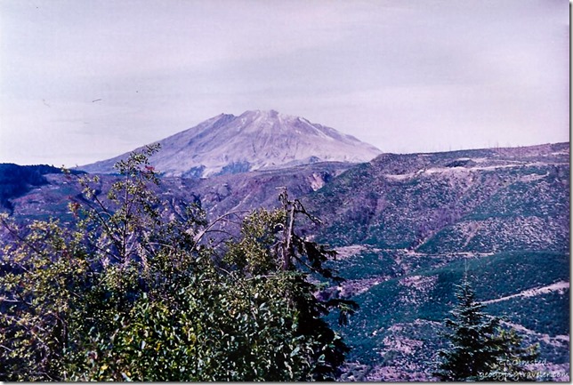 Mt St Helens National Volcanic Monument Gifford Pinchot National Forest Washington