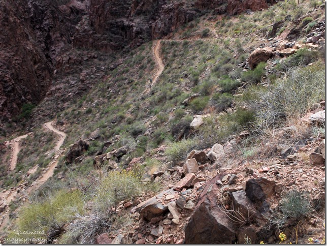 Devils corkscrew Bright Angel trail Grand Canyon National Park Arizona