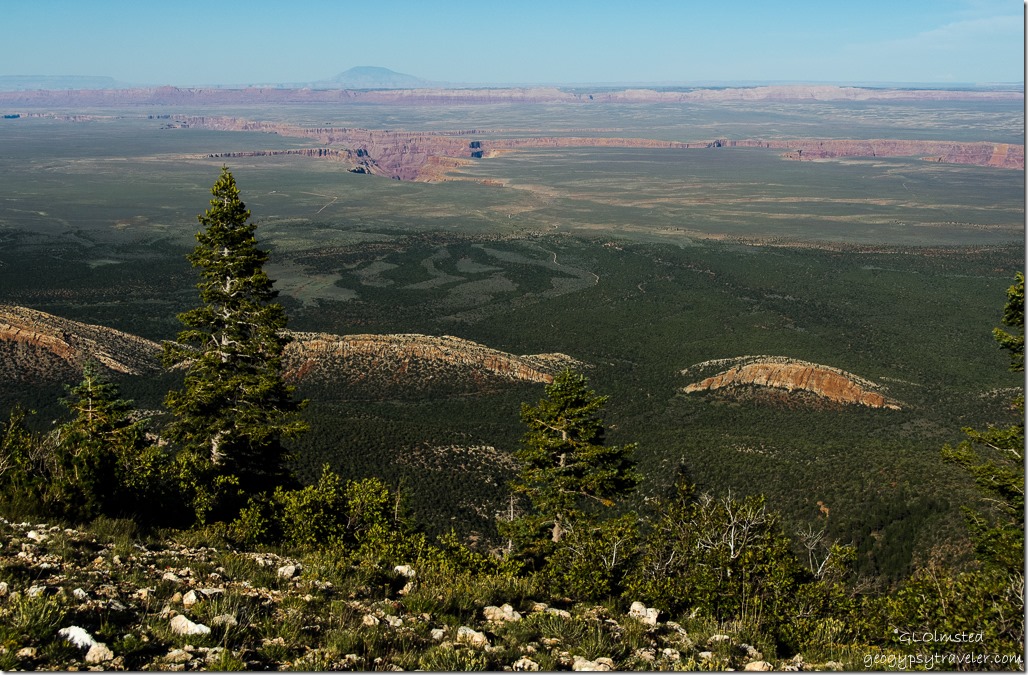Marble Plateau & Canyon Echo Cliffs Navajo Mountain from Marble View Kaibab Kaibab National Forest Arizona