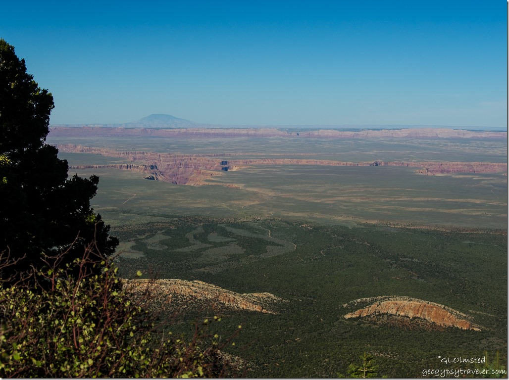 Marble Plateau & Canyon Echo Cliffs Navajo Mountain from Marble View Kaibab Kaibab National Forest Arizona