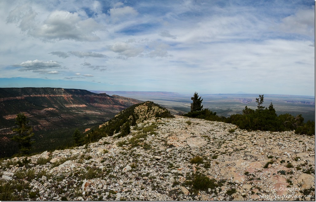 Kaibab monocline, Vermilion & Echo Cliffs, Marble Plateau & Canyon Marble View Kaibab Kaibab National Forest Arizona