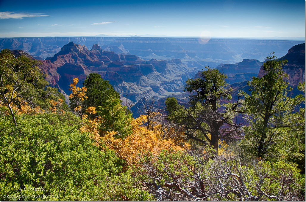 Fall North Rim Grand Canyon National Park Arizona