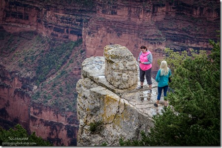 Tourons on slick rock North Rim Grand Canyon National Park Arizona