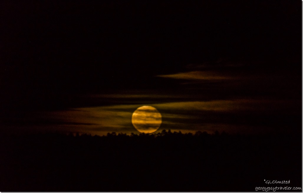 Hunter moon with clouds North Rim Grand Canyon National Park Arizona