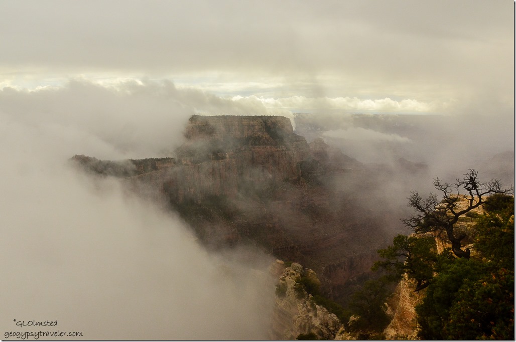Fog shrouded Wotans Throne Cape Royal North Rim Grand Canyon National Park Arizona