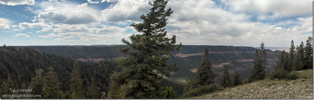 Marble viewpoint Kaibab National Forest Arizona