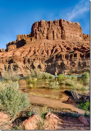 Colorado River Lee's Ferry Glen Canyon National Recreation Area Arizona