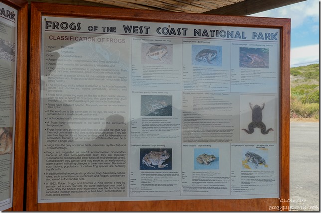 Sign for frogs of West Coast National Park South Africa