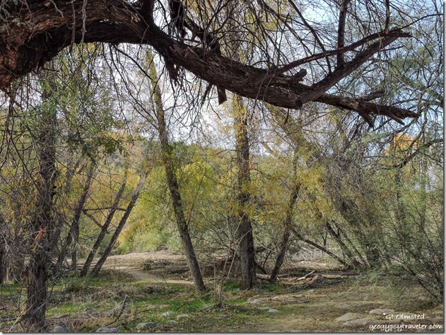 Trail Hassayampa River Rest Area Wickenburg Arizona