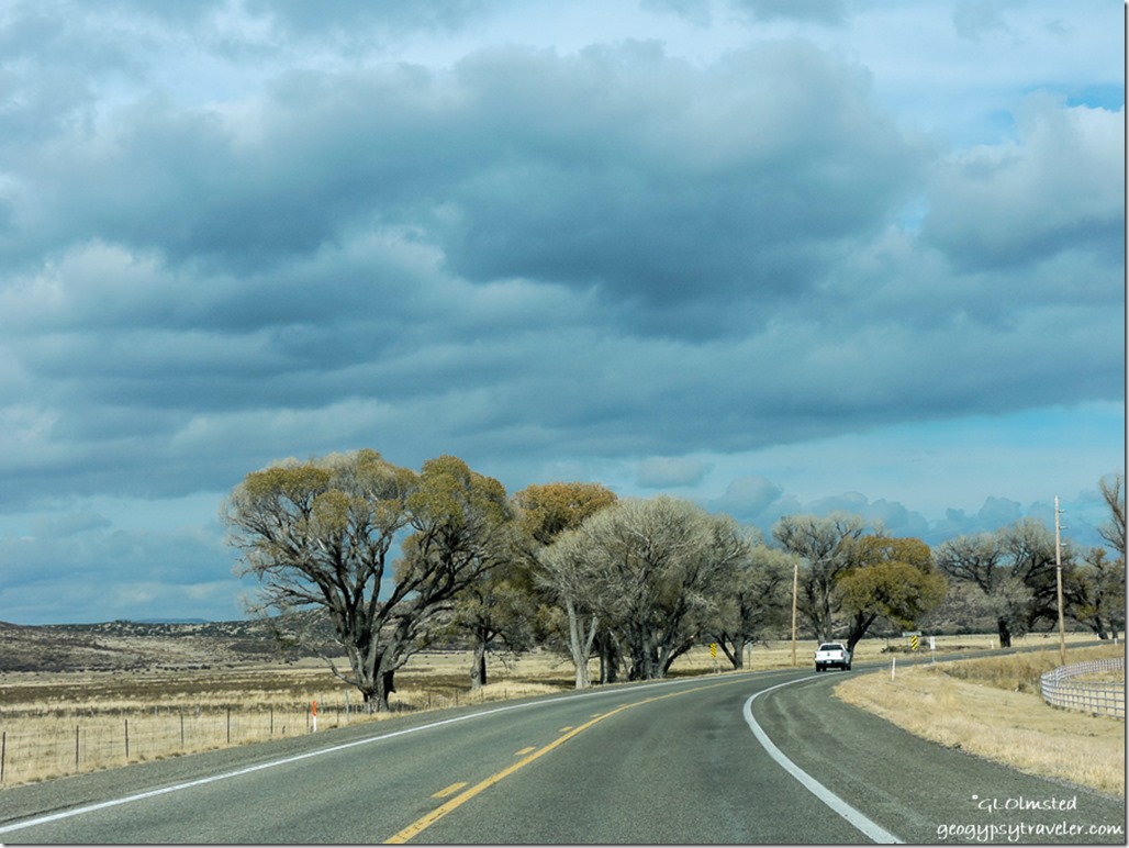 Clouds & Cottomwoods SR89 North Peeples Valley Arizona