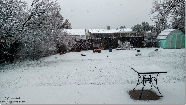 Snowing Bill's backyard Kanab Utah