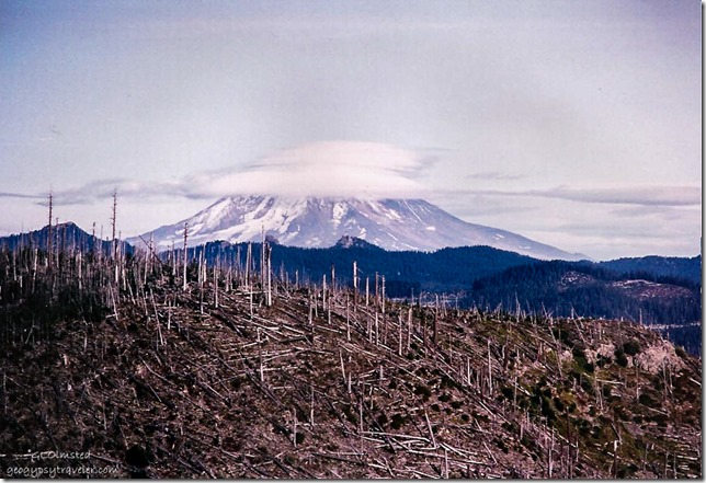 Mt St Helens from Norway Pass trail Mt St Helens National Volcanic Monument Washington 1990s