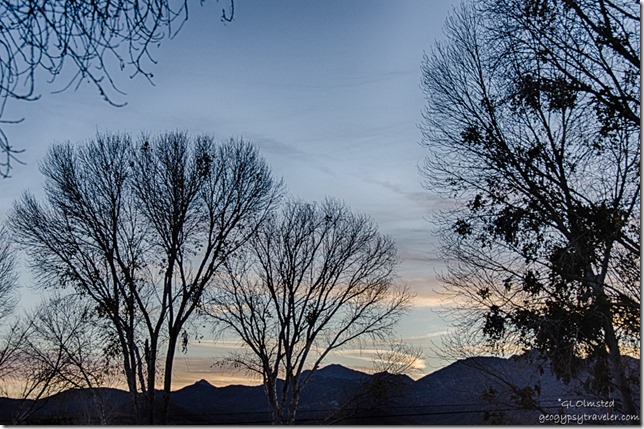 Sunset through trees from RV Kirkland Arizona