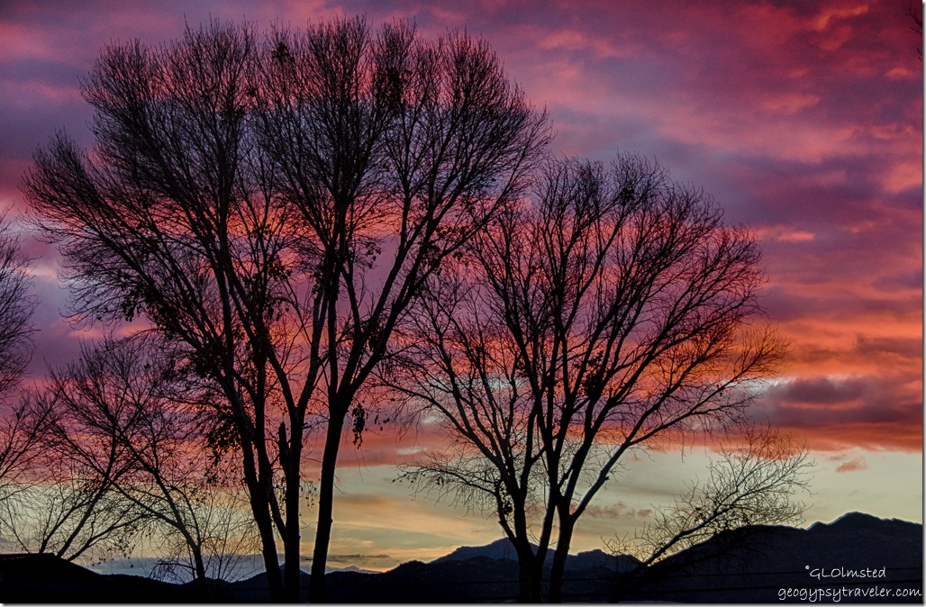 Sunset through trees mountains Kirkland Arizona