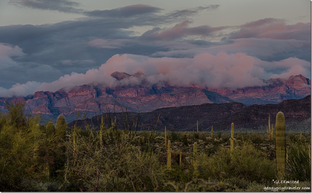Sunset cactus low clouds Ajo Range Organ Pipe Cactus National Monument Arizona