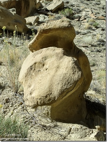 Unusual eroded boulder in side canyon of Cottonwood Canyon Grand Staircase-Escalante National Monument Utah