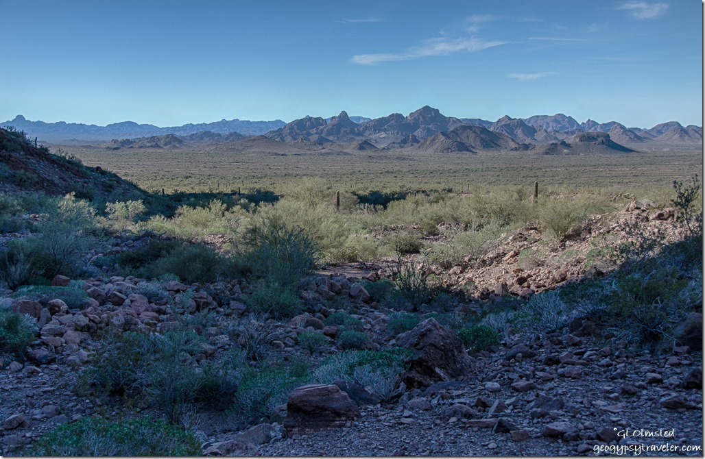 View West Dome Rock Mountains from mouth of Palm Canyon trail Kofa National Wildlife Refuge Arizona