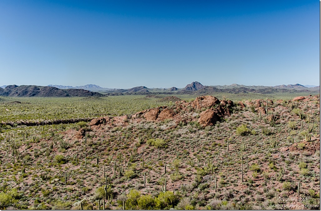 View West above Diablo wash Ajo Mountain Drive Organ Pipe Cactus National Monument Arizona