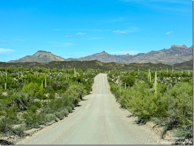 Ajo Mountain Drive Organ Pipe Cactus National Monument Arizona