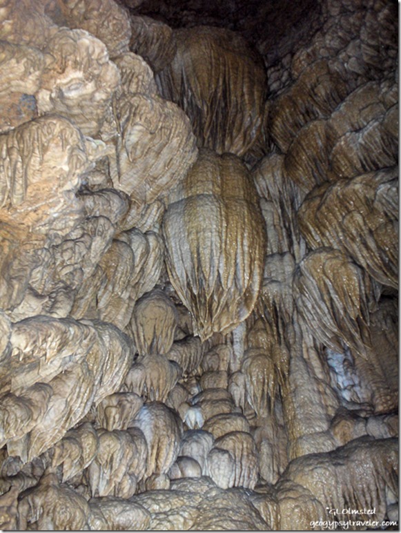 Flowstone Paradise Lost Oregon Caves National Monument Oregon