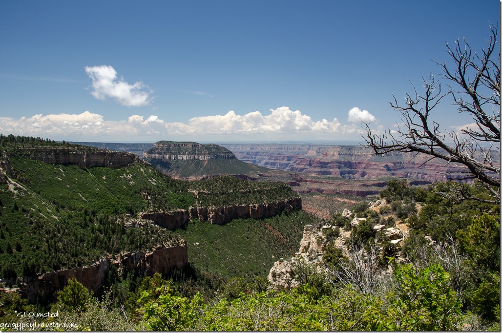 View S from Parissawampitts Point North Rim Grand Canyon Kaibab National Forest Arizona