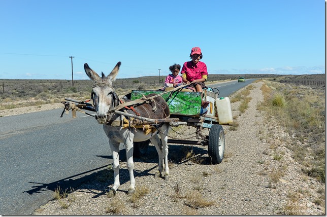 Donkey cart N12 North South Africa