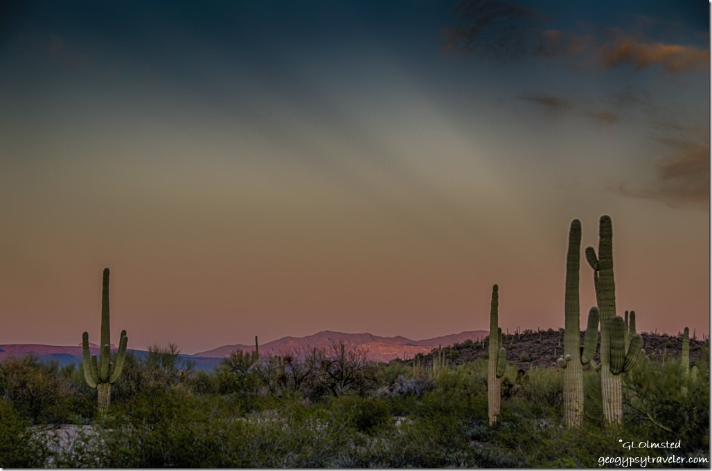 Sunset anticrepuscular rays Pozo Redondo Mts saguaros Darby Wells Road BLM Ajo Arizona