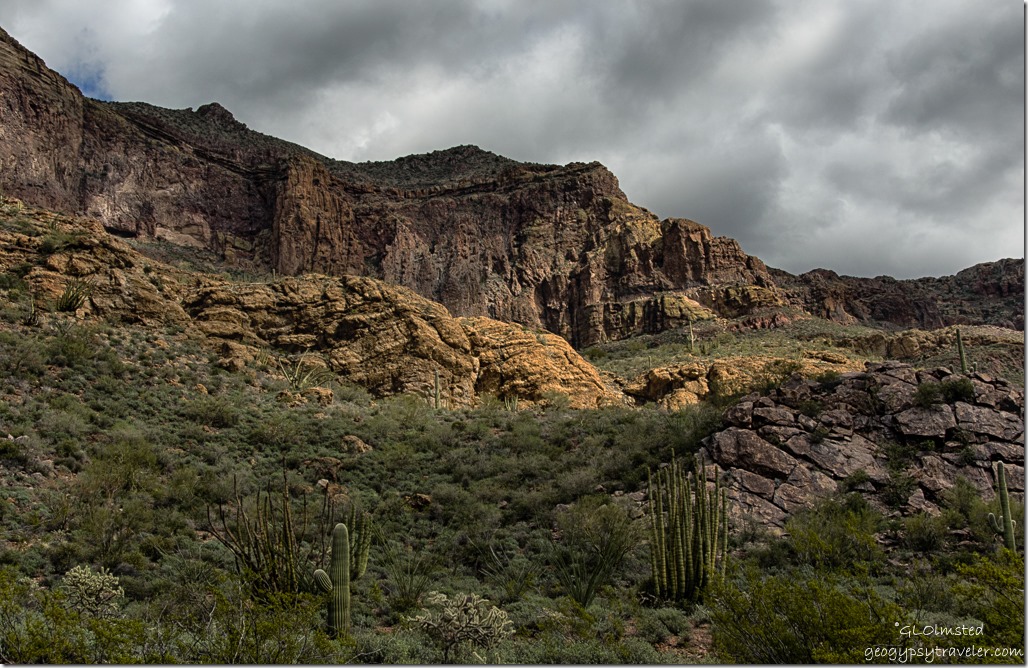 Estes Canyon trail Mountain Drive Organ Pipe Cactus National Monument Arizona